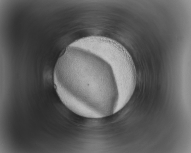 X0000088670238200706281928