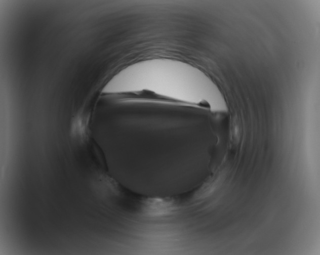 X0000088670239200706281928