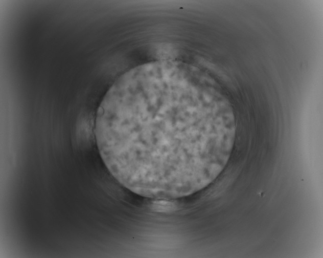 X0000088670240200706281928