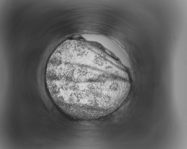 X0000088670241200706281927