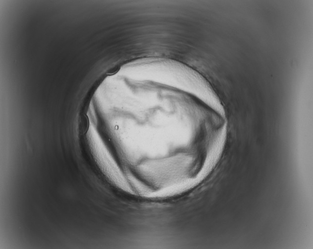 X0000088670242200706281927