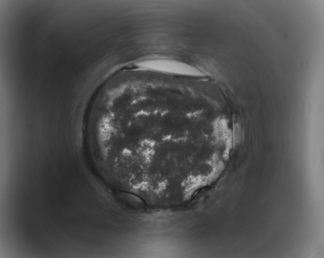 X0000088670243200706281927