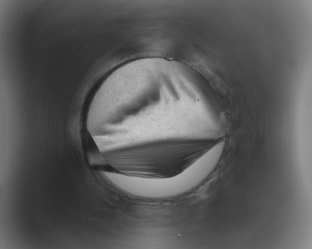 X0000088670244200706281927