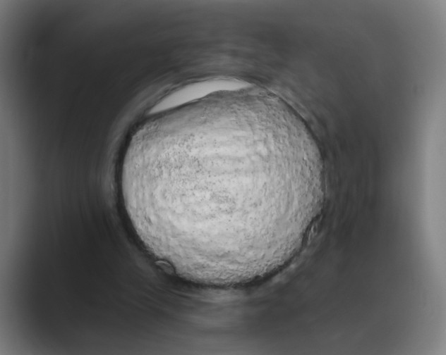 X0000088670245200706281927
