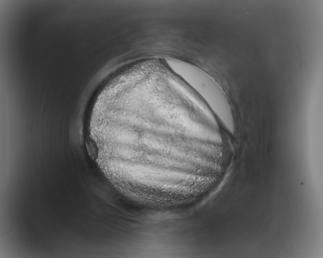 X0000088670246200706281927