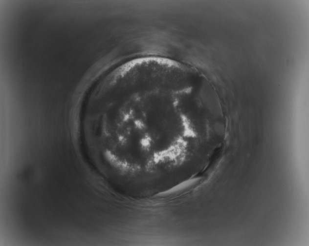 X0000088670247200706281927