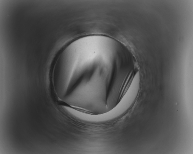 X0000088670248200706281927