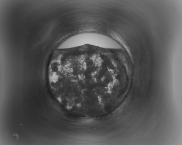 X0000088670249200706281927