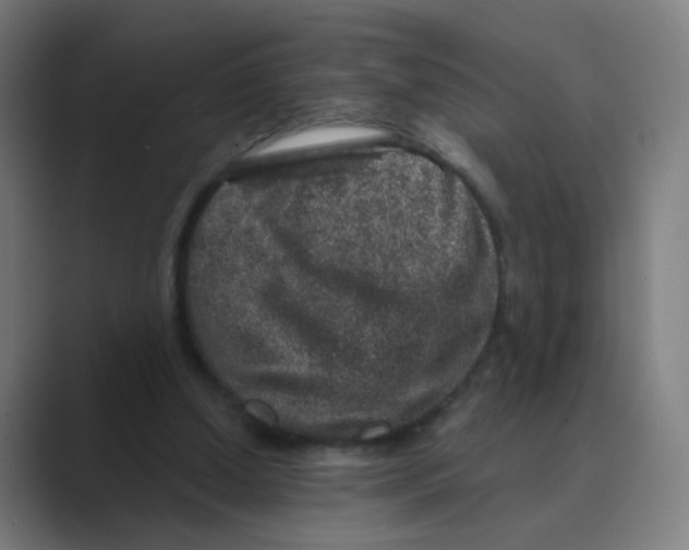 X0000088670250200706281927