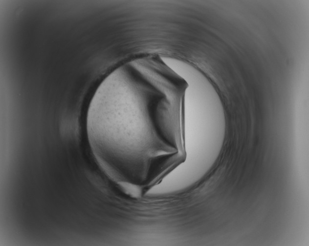 X0000088670252200706281927