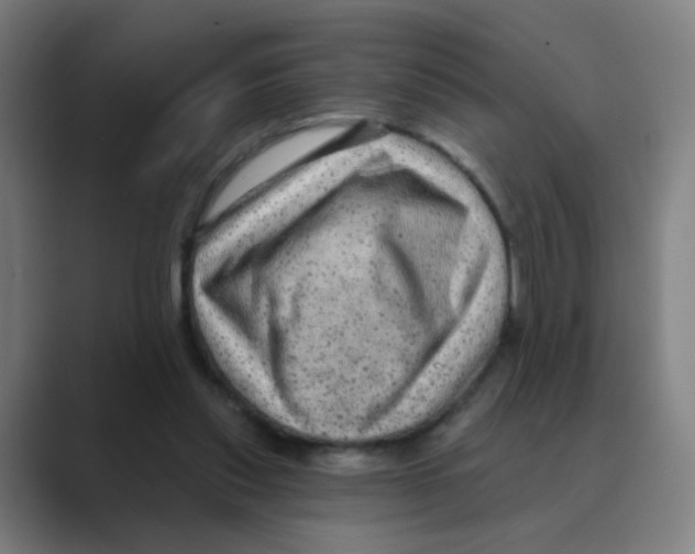 X0000088670253200706281927