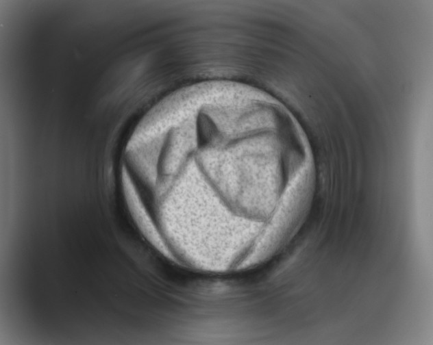 X0000088670254200706281927