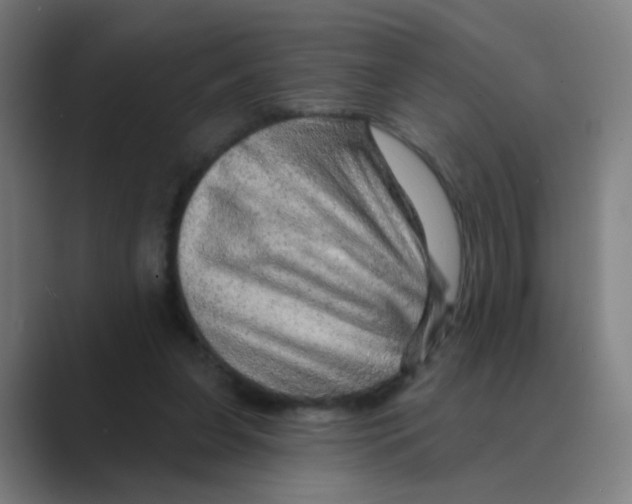 X0000088670255200706281927