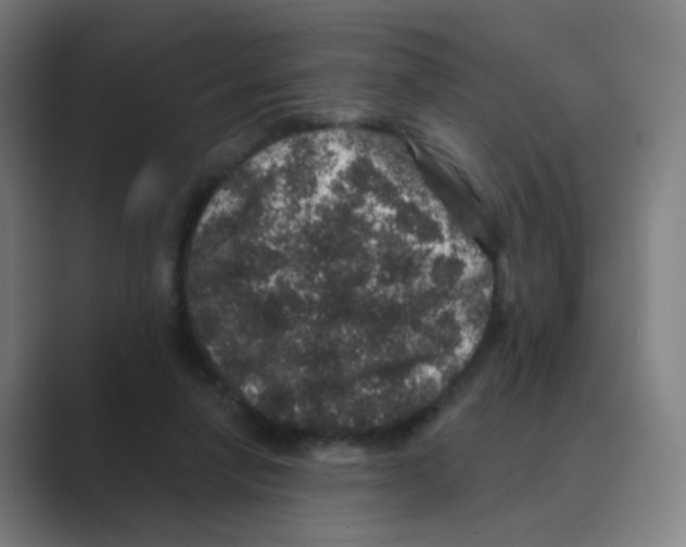 X0000088670258200706281927