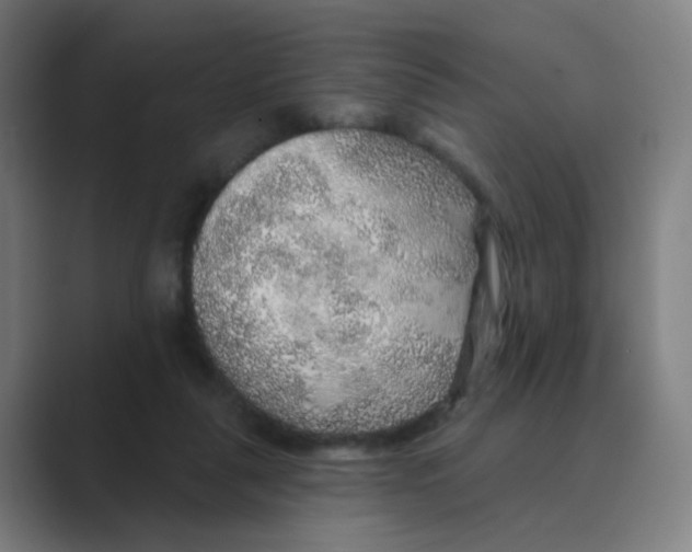 X0000088670259200706281927