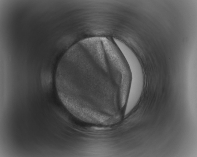 X0000088670260200706281927