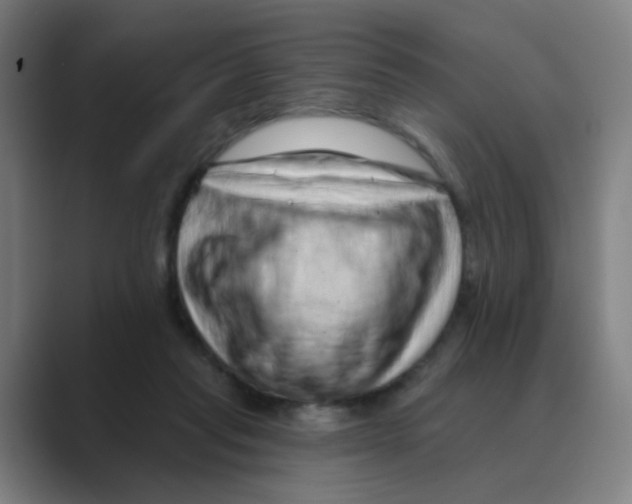 X0000088670261200706281927