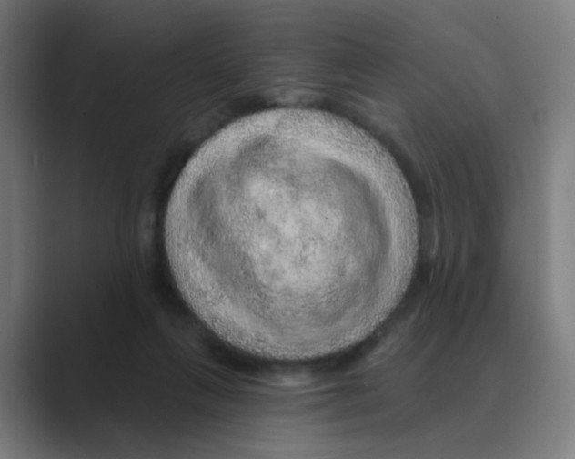 X0000088670263200706281927