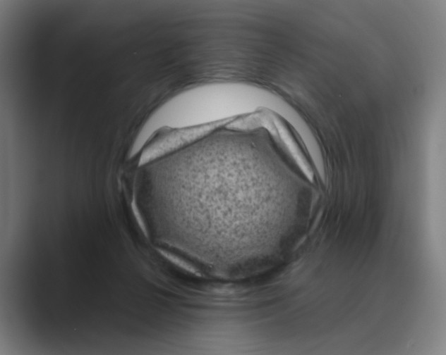X0000088670264200706281927