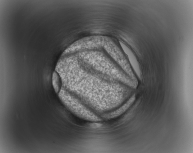 X0000088670265200706281927