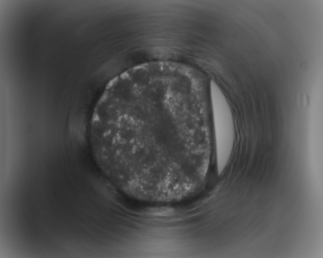 X0000088670266200706281927