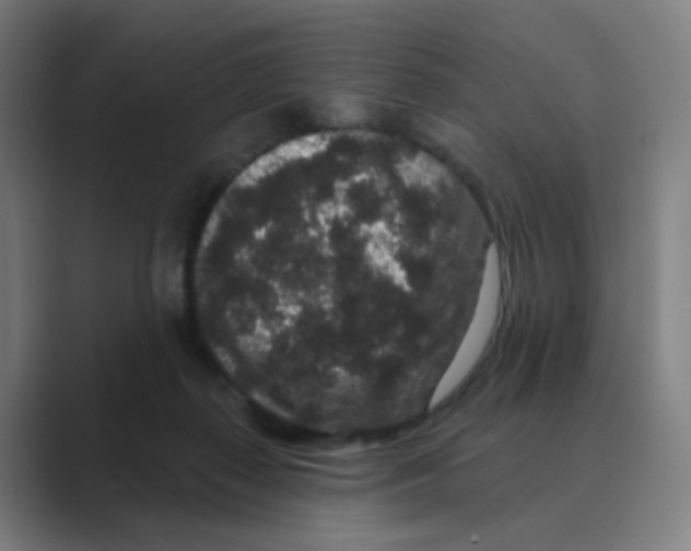 X0000088670267200706281927