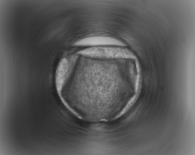 X0000088670269200706281928