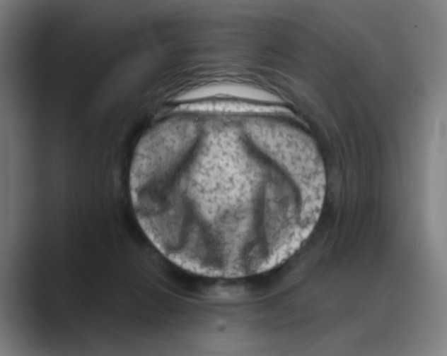 X0000088670270200706281928