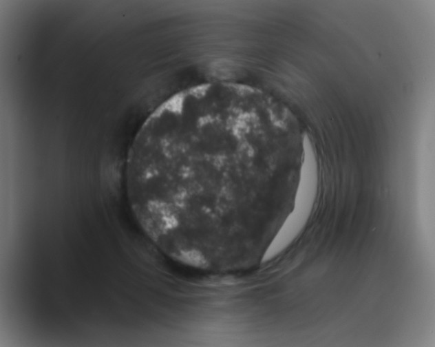 X0000088670271200706281928