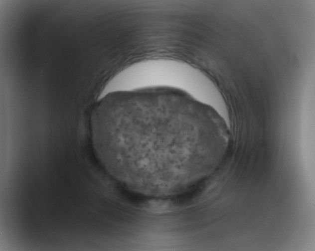 X0000088670272200706281928