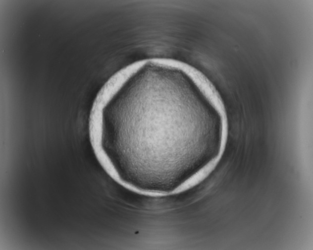 X0000088670273200706281928