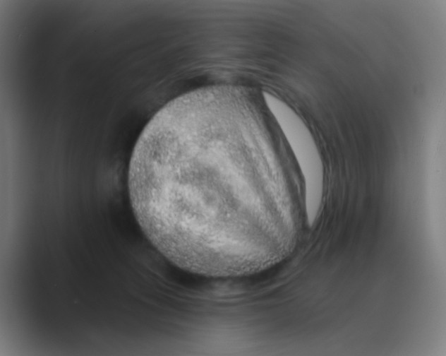 X0000088670275200706281928