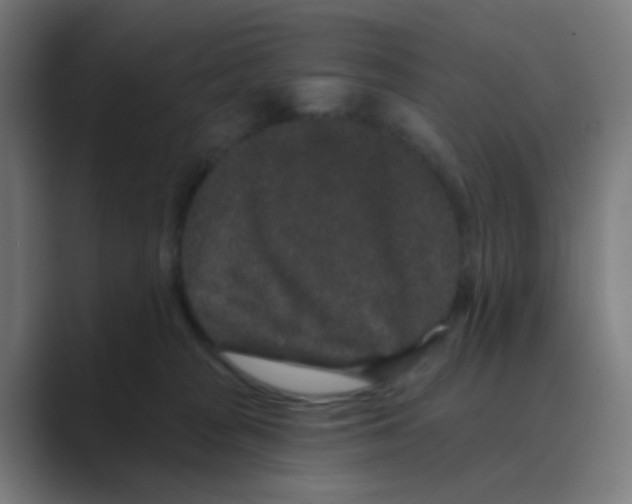 X0000088670277200706281928