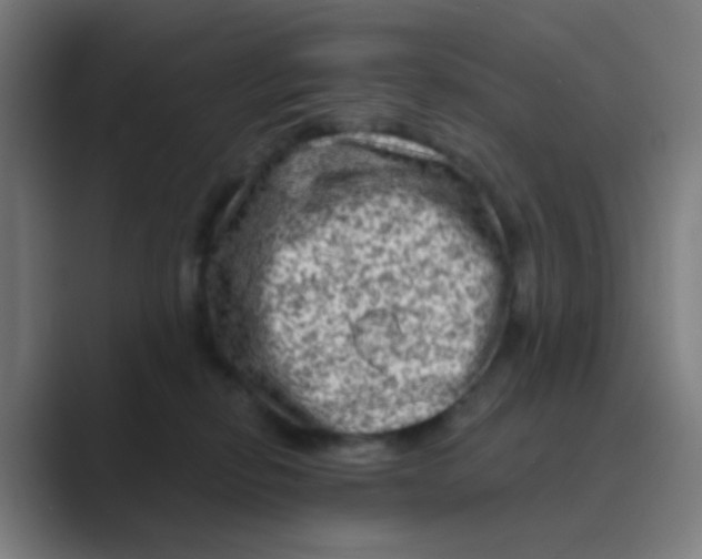 X0000088670278200706281928