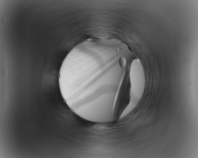 X0000088670280200706281928