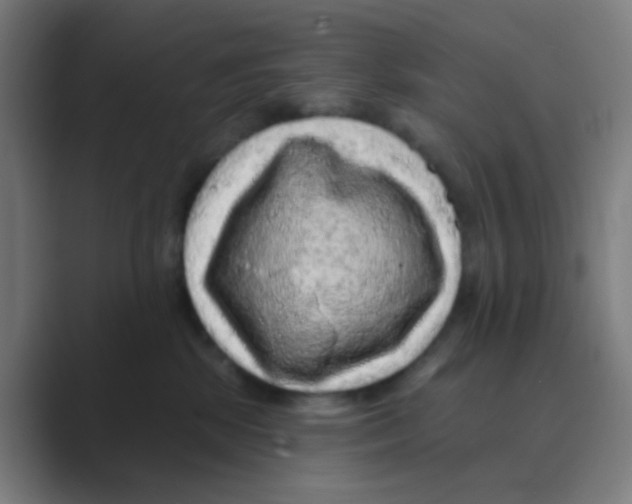 X0000088670281200706281928