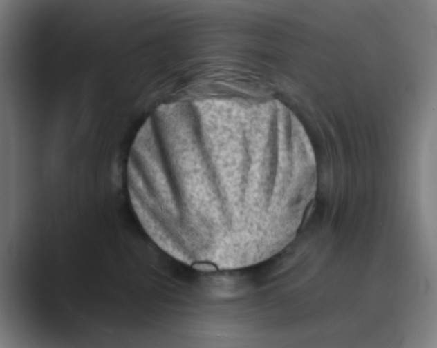 X0000088670282200706281928