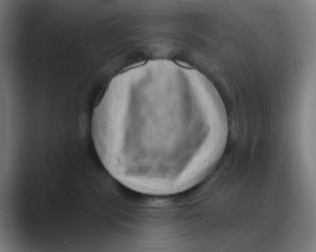 X0000088670283200706281928