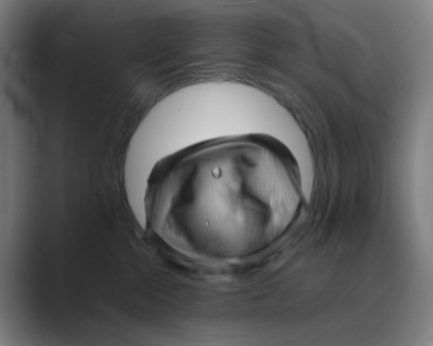 X0000088670284200706281928