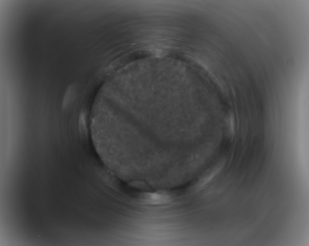 X0000088670286200706281928