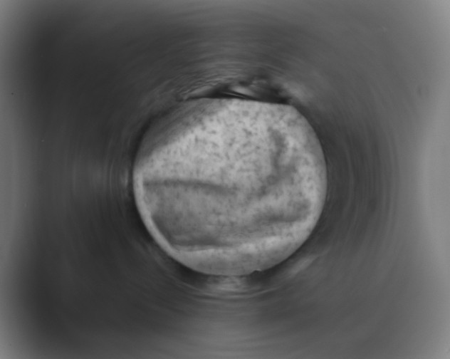 X0000088670288200706281928