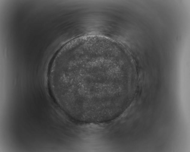 X0000088670290200706281927