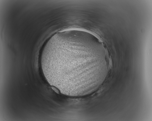 X0000088670291200706281927