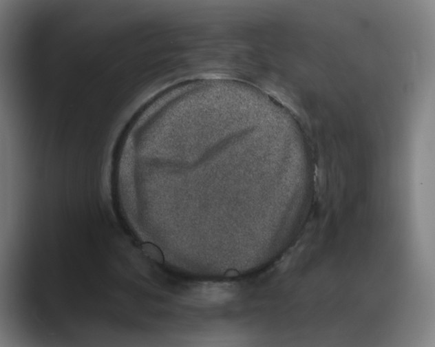 X0000088670292200706281927