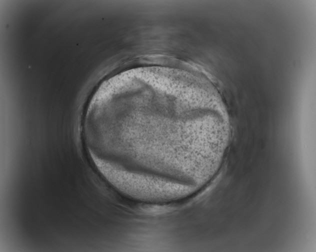 X0000088670293200706281927