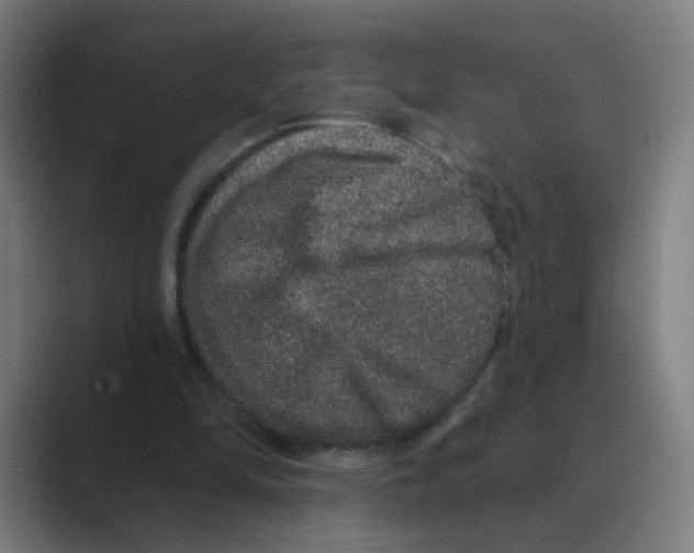 X0000088670294200706281927