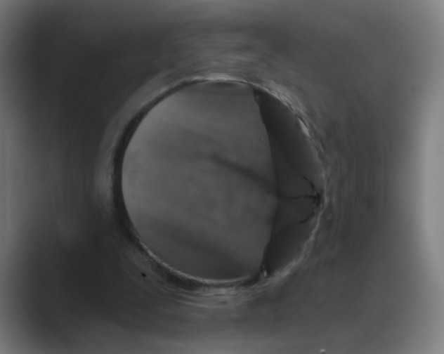 X0000088670295200706281927