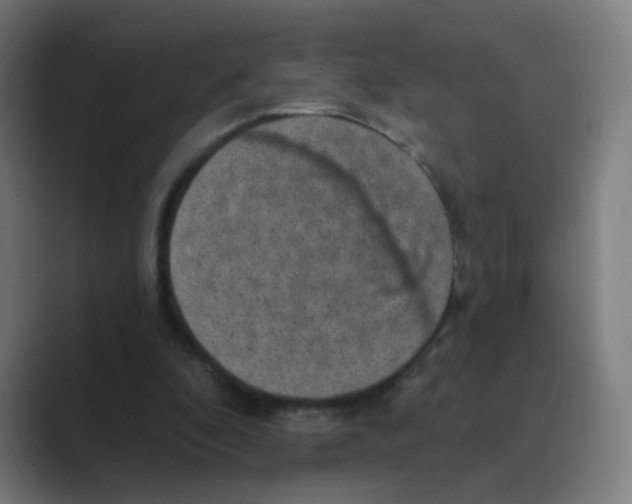 X0000088670296200706281927