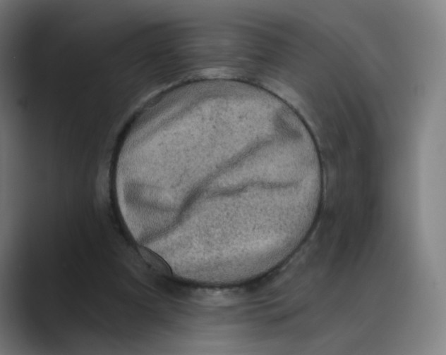 X0000088670297200706281927