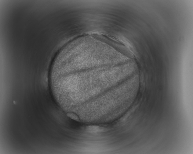 X0000088670298200706281927